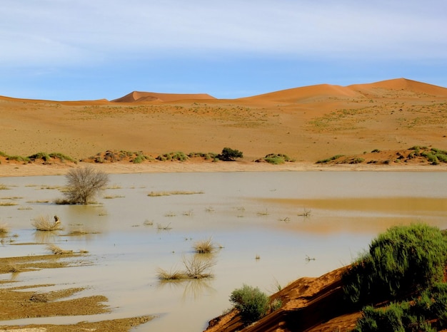 O lago nas dunas deserto do namibe sossusvlei namíbia