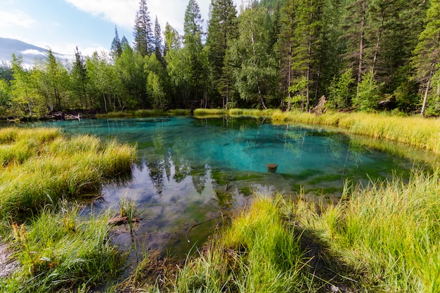 O lago termal verde