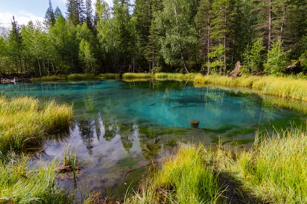 O lago termal verde