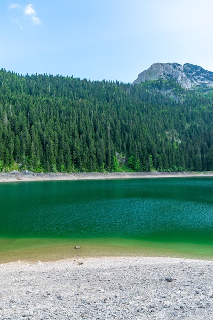 Foto o magnífico lago negro está localizado no parque nacional durmitor, no norte de montenegro