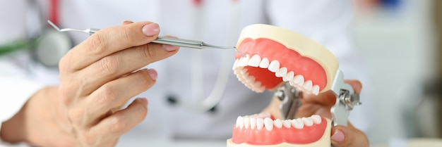 O médico dentista tem mandíbula humana artificial e inflamação da raiz do dente do instrumento ou