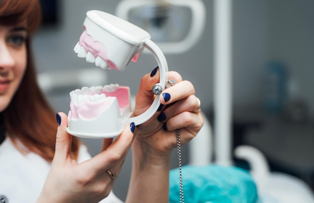 O médico segura implantes dentários nas mãos Mandíbula plástica no consultório do dentista Fechar