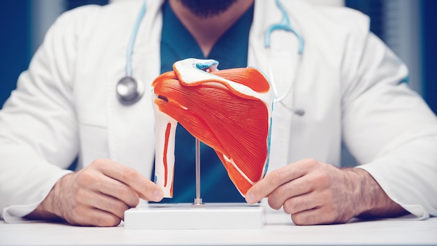 Foto o médico segura os músculos do peito e dos ombros simulados. conceito de saúde