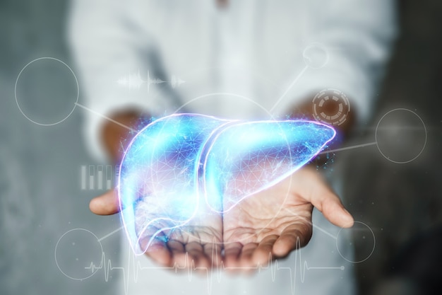 O médico tem um holograma de fígado nos braços. conceito de negócio de tratamento de hepatite humana, doação, prevenção de doenças, diagnóstico online.