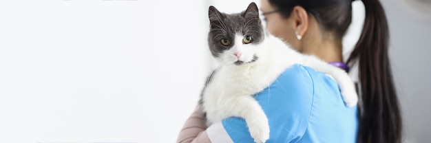 O médico veterinário está segurando um gato nos braços