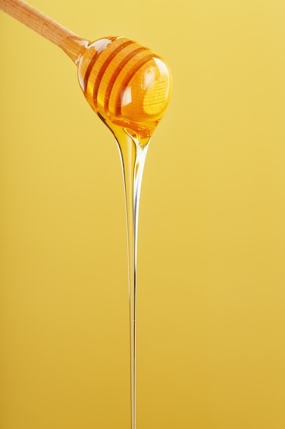O mel pinga em um filete fino de uma concha de mel em um fundo amarelo