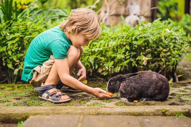 O menino alimenta o teste de cosméticos de coelho em animal de coelho livre de crueldade e pare o conceito de abuso de animais