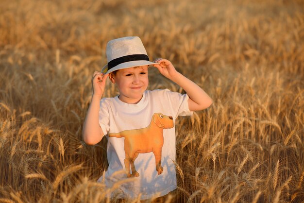 O menino bonito no campo solar do verão do trigo do ouro