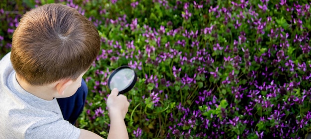 Foto o menino olha para a flor através de uma lupa foco seletivo