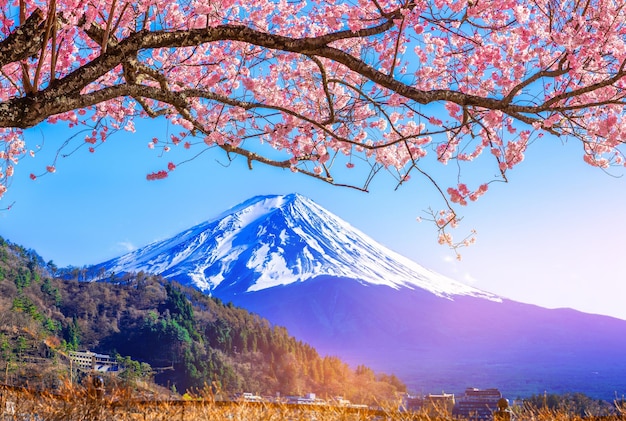 Foto o monte fuji e as flores de cerejeira vistas do lago kawaguchiko yamanashi, no japão