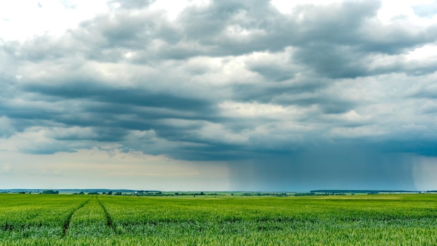 O movimento das nuvens sobre um campo agrícola com trigo Uma tempestade e chuva nuvem cinza flutua no céu com uma faixa de chuva visível Chuva forte na aldeia no verão