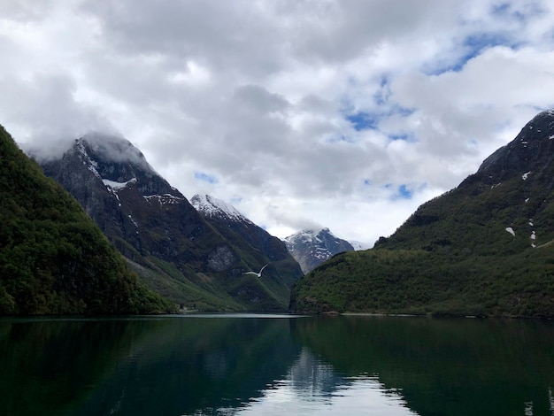 O Naeroyfjord com uma gaivota na Noruega. Famosos fiordes da Noruega e melhor cenário norueguês