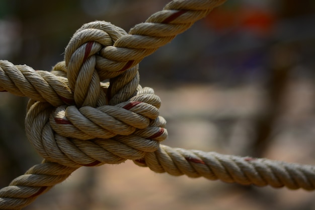 O nó da corda para a aventura clibling na atividade do scout