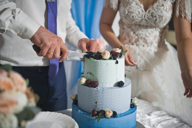 O noivo corta um lindo bolo de casamento em pedaços 2583