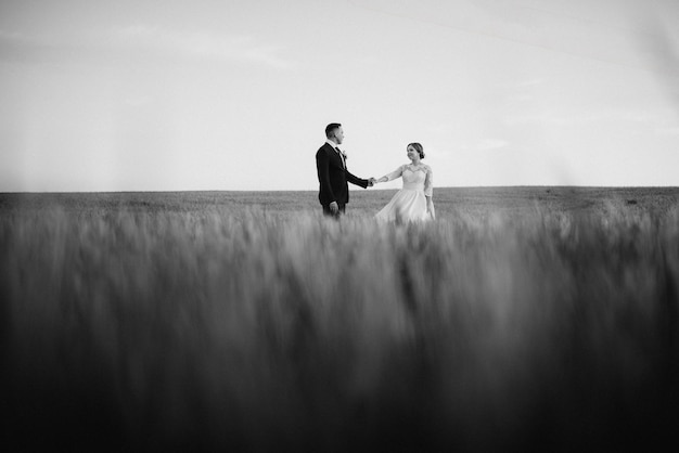 O noivo e a noiva caminham ao longo do campo verde de trigo em um dia ensolarado