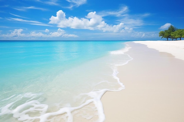 o oceano é uma bela praia de areia branca com o oceano ao fundo.