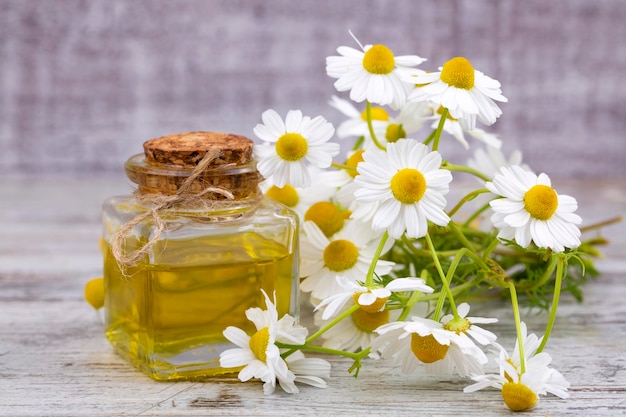 O óleo essencial na garrafa de vidro com camomila fresca floresce, tratamento da beleza.