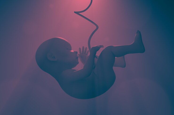 Foto o organismo humano em desenvolvimento nova vida