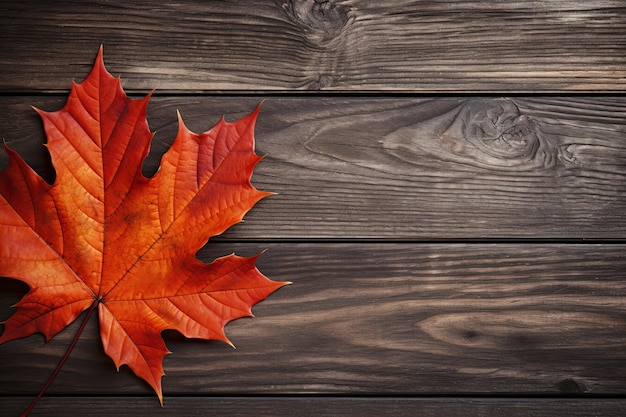 O outono abraça suavemente uma folha de bordo solitária em riquíssimas tábuas de madeira mostrando a beleza da natureza por IA generativa