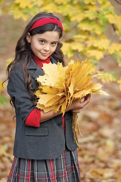 O outono é uma época para a escola bom tempo para caminhar ao ar livre criança segura folhas de outono beleza da natureza garota feliz com cabelos longos garota reúne folhas de bordo amarelas criança no parque outono