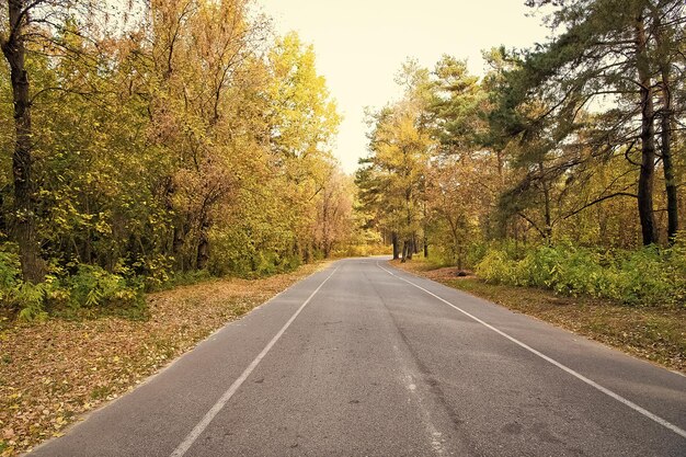 O outono está ao nosso redor estrada através da floresta de outono estrada desolada na paisagem natural estrada de asfalto estrada no campo viajar e viajar viagem de outono férias de outono