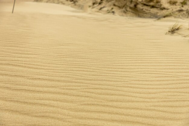 Foto o padrão da areia