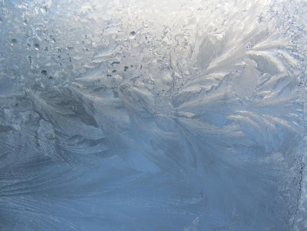 O padrão gelado no vidro forma uma aparência vegetal deslumbrante O clima de inverno oferece antecipação do feriado principal