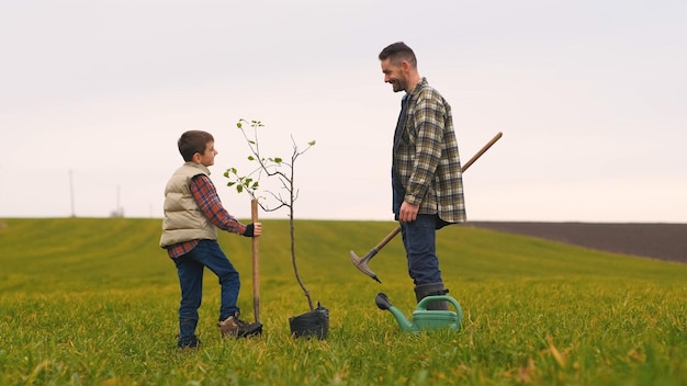 O pai com seu filho plantando uma árvore no campo