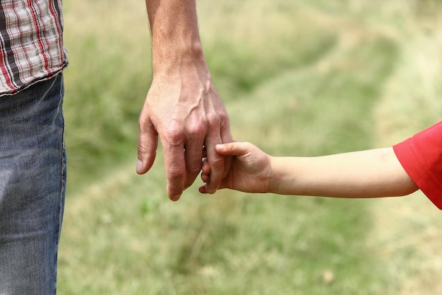 o pai segura a mão de uma criança pequena na natureza