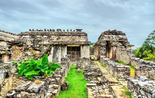 O palácio do sítio arqueológico palenque maya. patrimônio mundial da unesco no méxico