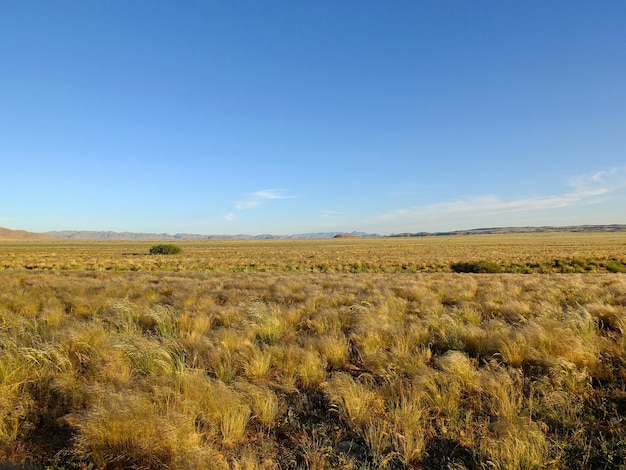 O panorama na savana sossusvlei namíbia