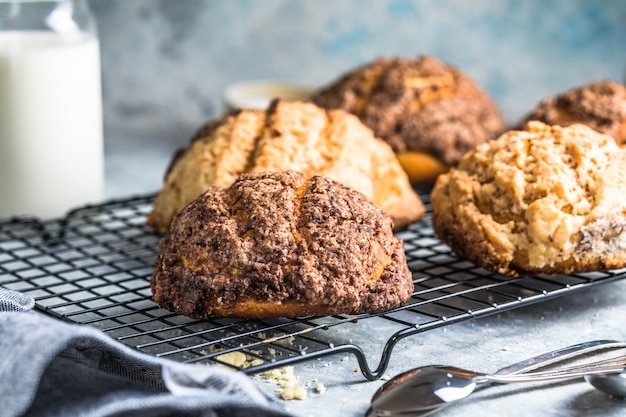 O pão doce Conchas é um tipo de panela tradicional cozida no México durante as semanas que antecederam o Dia de Muertos