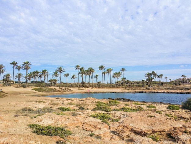 O paraíso de Torrevieja em Lo Ferris