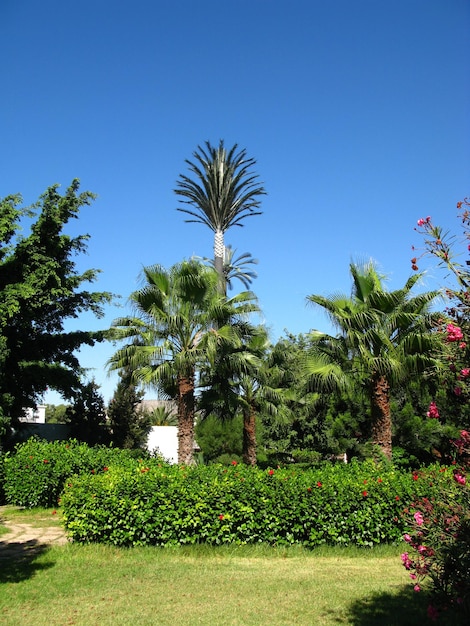 O parque em Agadir Marrocos