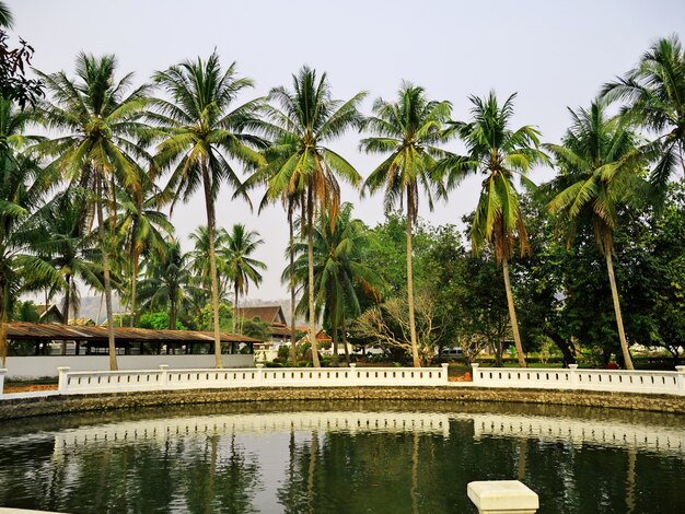 O parque em luang prabang, laos