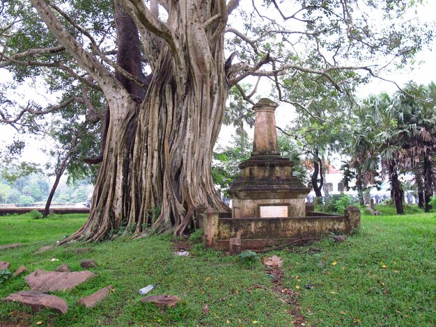 O parque na área de anuradhapura, sri lanka