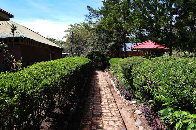 O parque na cidade de Wamena, Papua, Indonésia