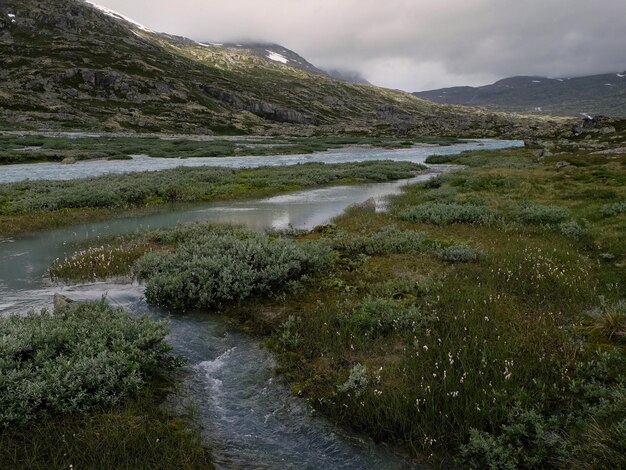 O Parque Nacional de Breheimen, na Noruega, onde você pode experimentar montanhas estéreis, rios correntes, geleiras opalescentes e natureza intacta.