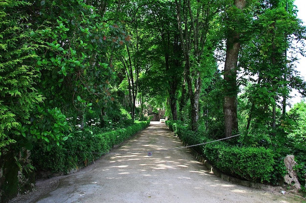 O parque no Palácio de Sintra Portugal