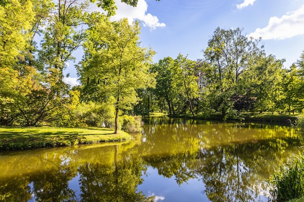 O parque público com uma lagoa para a paisagem de lazer