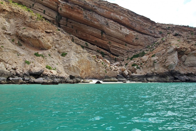 O pássaro na Baía de Shuab, na ilha de Socotorá, Oceano Índico, Iêmen