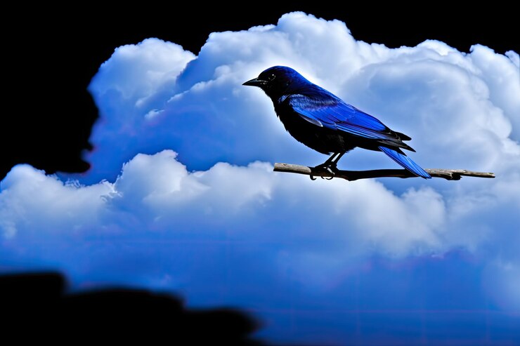 Foto o pássaro representa a paz na terra o mundo é pacífico um céu azul sem nuvens feito usando gêneros