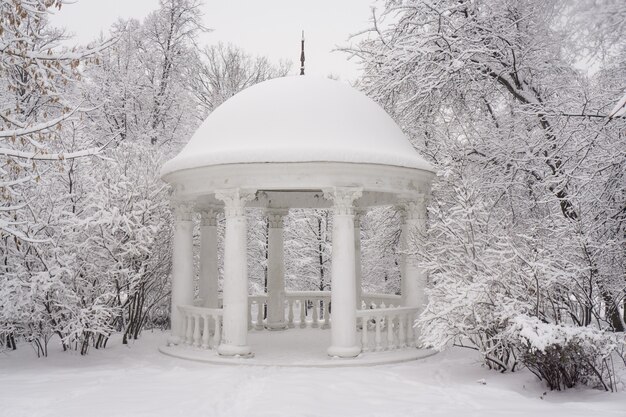 O pavilhão público branco no parque no inverno