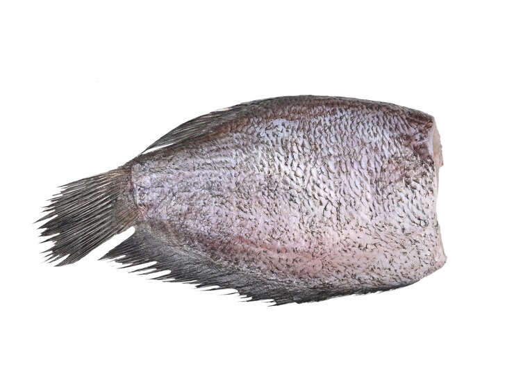 Foto o peixe secado ao sol snakeskin gourami fishpla salit em fundo branco vista superior