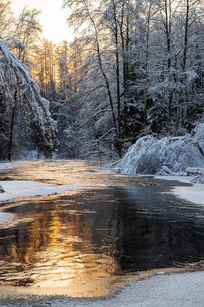 O pequeno rio congelado selvagem na madeira de inverno a natureza selvagem ao pôr do sol o rio de gelo de cor vermelha ...