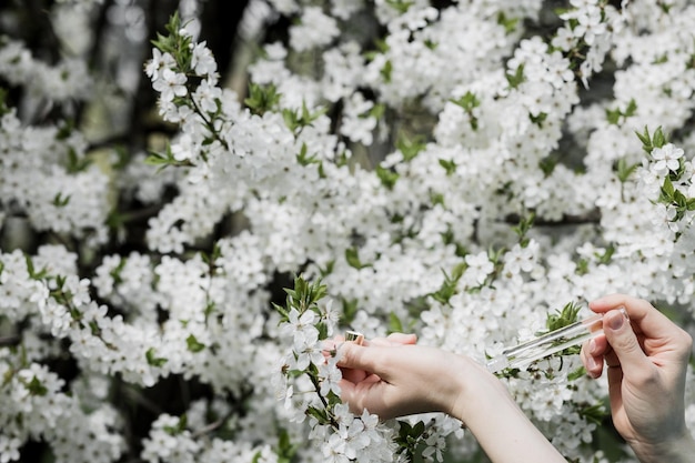 O perfume suave da primavera