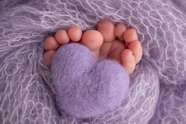O pezinho de um bebê recém-nascido Pés macios de um recém-nascido em um cobertor de lã lilás roxo Feche os calcanhares e os pés de um recém-nascido Coração lilás roxo de malha nas pernas de um bebê
