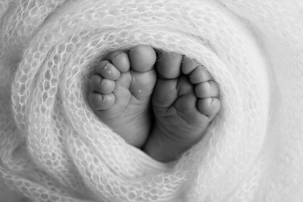 O pezinho de um recém-nascido Pés macios de um recém-nascido em um cobertor de lã Fechar os calcanhares e os pés de um bebê recém-nascido Estúdio Fotografia macro em preto e branco Felicidade da mulher