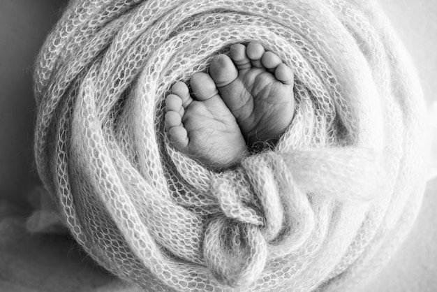O pezinho de um recém-nascido Pés macios de um recém-nascido em um cobertor de lã Fechar os calcanhares e os pés de um bebê recém-nascido Estúdio Fotografia macro em preto e branco Felicidade da mulher