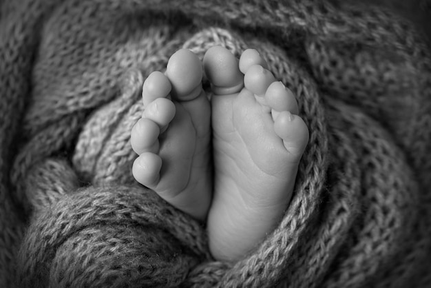 O pezinho de um recém-nascido. Pés macios de um recém-nascido em um cobertor de lã. Feche os dedos dos pés, calcanhares e pés de um bebê recém-nascido. Fotografia macro de estúdio. Foto preto e branco. Foto de alta qualidade